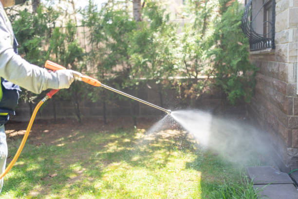 Insect Control in Bayard, NE
