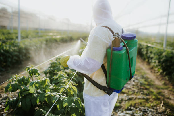 Best Pest Removal Services  in Bayard, NE